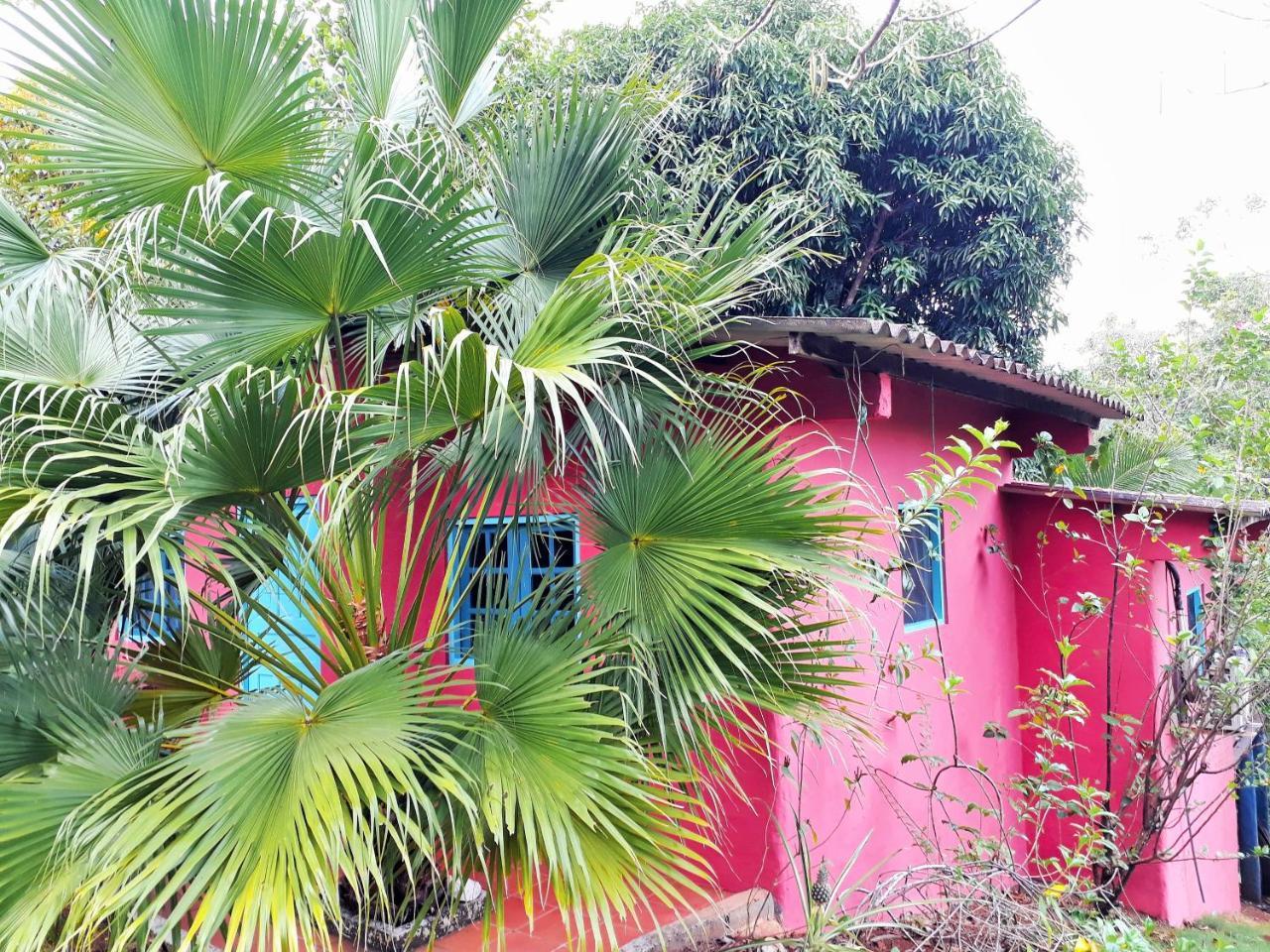Casa Maya Santa Catalina Exterior foto